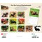For the Love of Dachshunds | 2026 14 x 24 Inch (Hanging) Monthly Deluxe Wall Calendar | Foil Stamped Cover | Plastic-Free